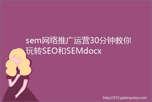 sem网络推广运营30分钟教你玩转SEO和SEMdocx